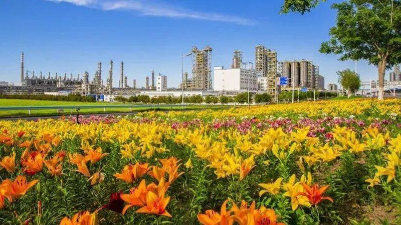 环保色母粒：新材料领域的绿色使者**